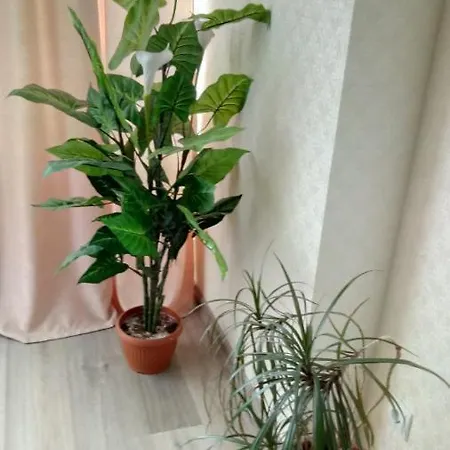 квартира в аркадии Apartment Odesa